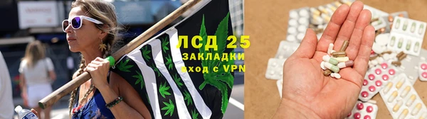 ПСИЛОЦИБИНОВЫЕ ГРИБЫ Новокубанск