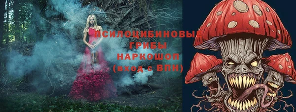 jwh Новодвинск