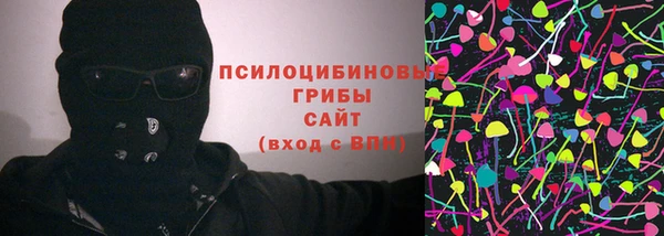 ПСИЛОЦИБИНОВЫЕ ГРИБЫ Новокубанск